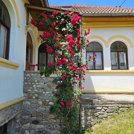 Casa De Pe Lac Fedelesoiu , Ramnicu Valcea